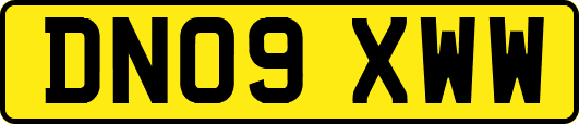 DN09XWW