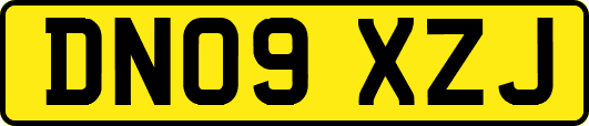 DN09XZJ