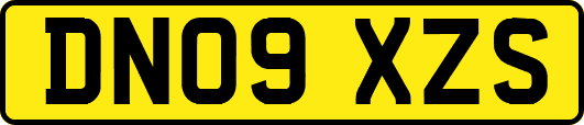 DN09XZS
