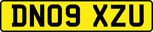DN09XZU