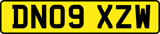 DN09XZW