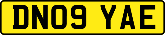DN09YAE