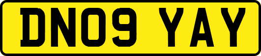 DN09YAY