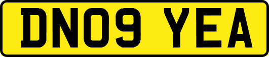 DN09YEA
