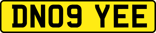 DN09YEE