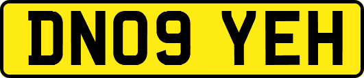 DN09YEH