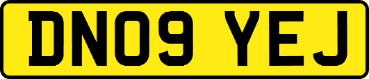 DN09YEJ