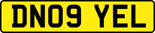 DN09YEL