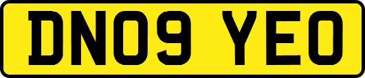 DN09YEO