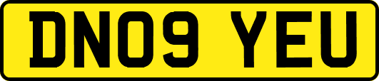 DN09YEU