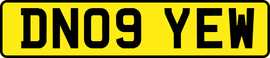 DN09YEW