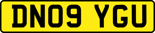 DN09YGU
