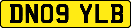 DN09YLB