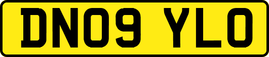 DN09YLO