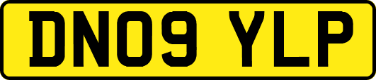 DN09YLP