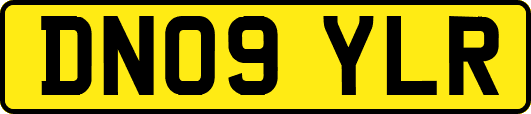 DN09YLR
