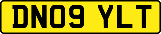 DN09YLT