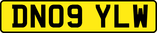 DN09YLW