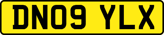DN09YLX