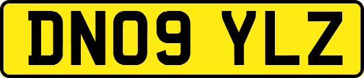 DN09YLZ
