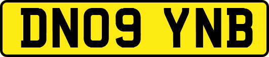 DN09YNB