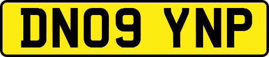 DN09YNP