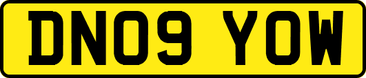 DN09YOW