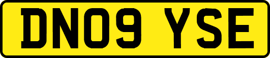DN09YSE