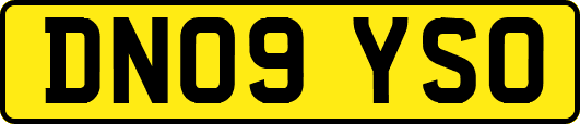 DN09YSO