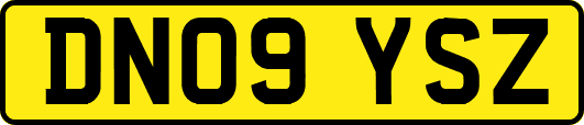 DN09YSZ