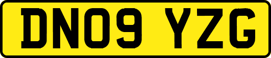 DN09YZG