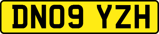 DN09YZH