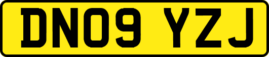 DN09YZJ