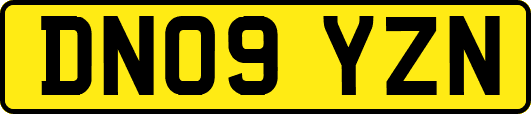 DN09YZN