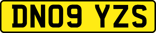 DN09YZS