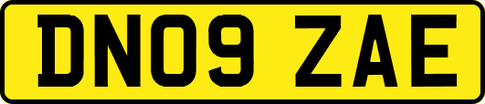 DN09ZAE