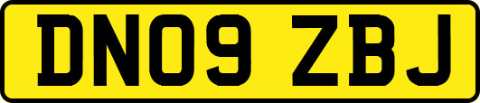 DN09ZBJ