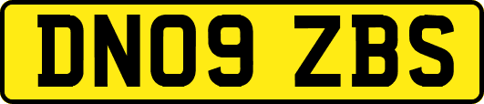 DN09ZBS