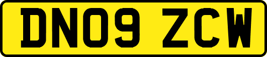 DN09ZCW