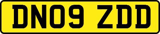 DN09ZDD