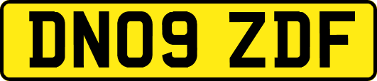DN09ZDF