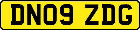 DN09ZDG
