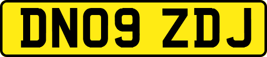 DN09ZDJ