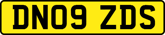 DN09ZDS