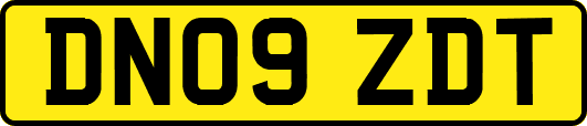DN09ZDT