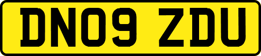 DN09ZDU
