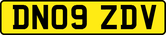 DN09ZDV