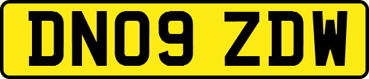 DN09ZDW