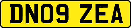 DN09ZEA