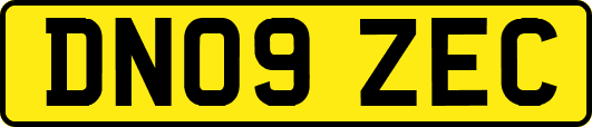 DN09ZEC